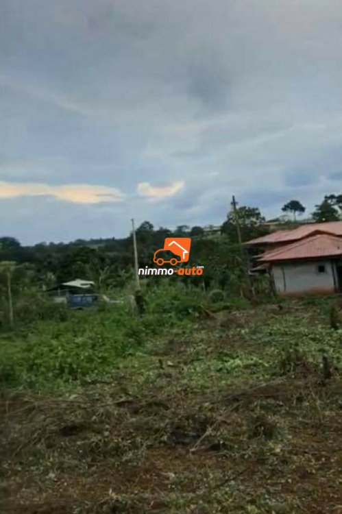 Terrain à vendre Nsimalen Odza