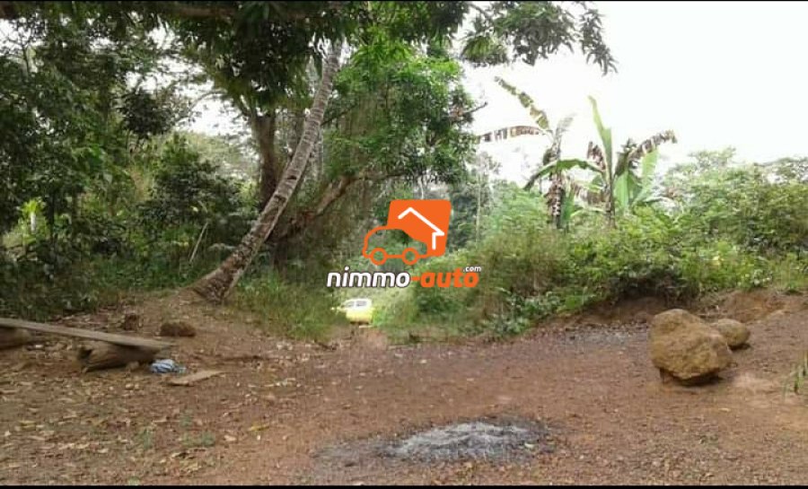 Terrain à vendre sur la route de mfou