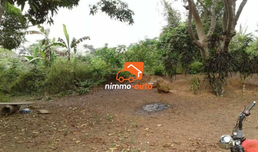 Terrain à vendre sur la route de mfou