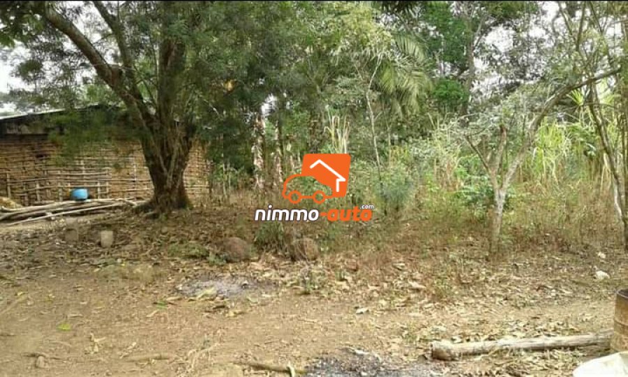 Terrain à vendre sur la route de mfou