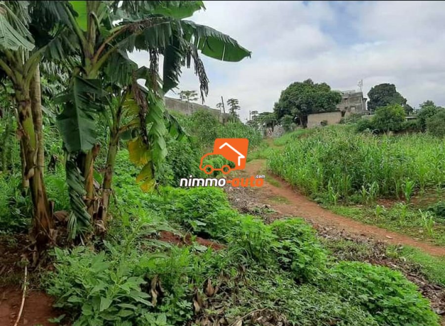 Terrain commercial à vendre au quartier Eleveur