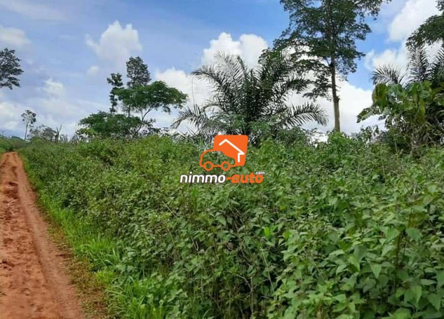 Terrain commercial à vendre au quartier Eleveur