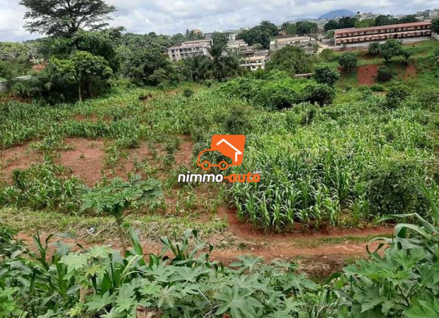 Terrain commercial à vendre au quartier Eleveur