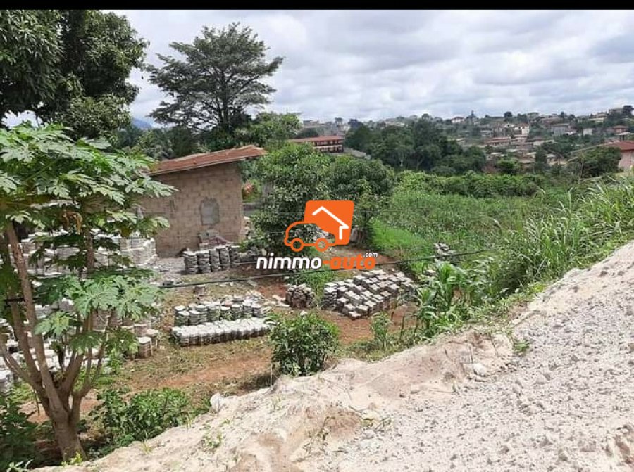 Terrain commercial à vendre au quartier Eleveur