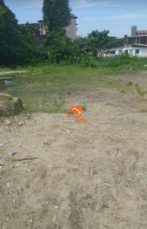 Terrain à vendre Bonabéri mairie Douala 4e