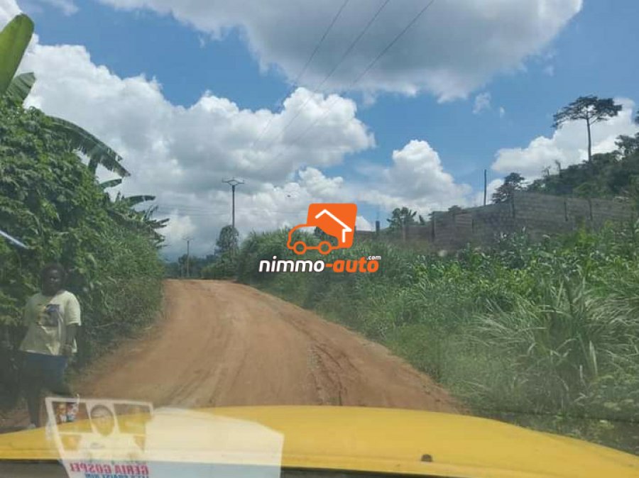 Terrain à vendre NVLLE CARRIERE DE NYOM, YAOUNDE