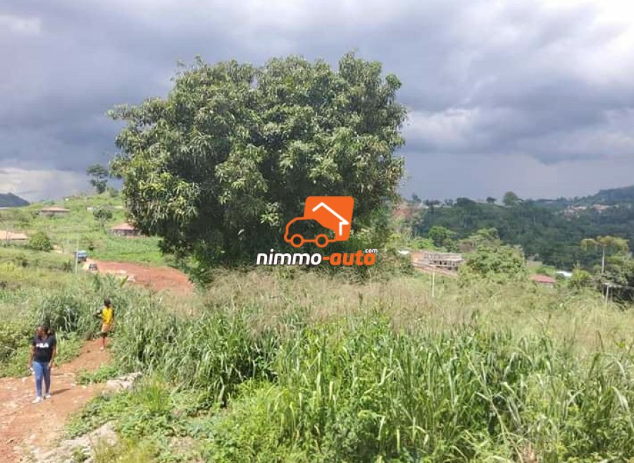Terrain à vendre NVLLE CARRIERE DE NYOM, YAOUNDE