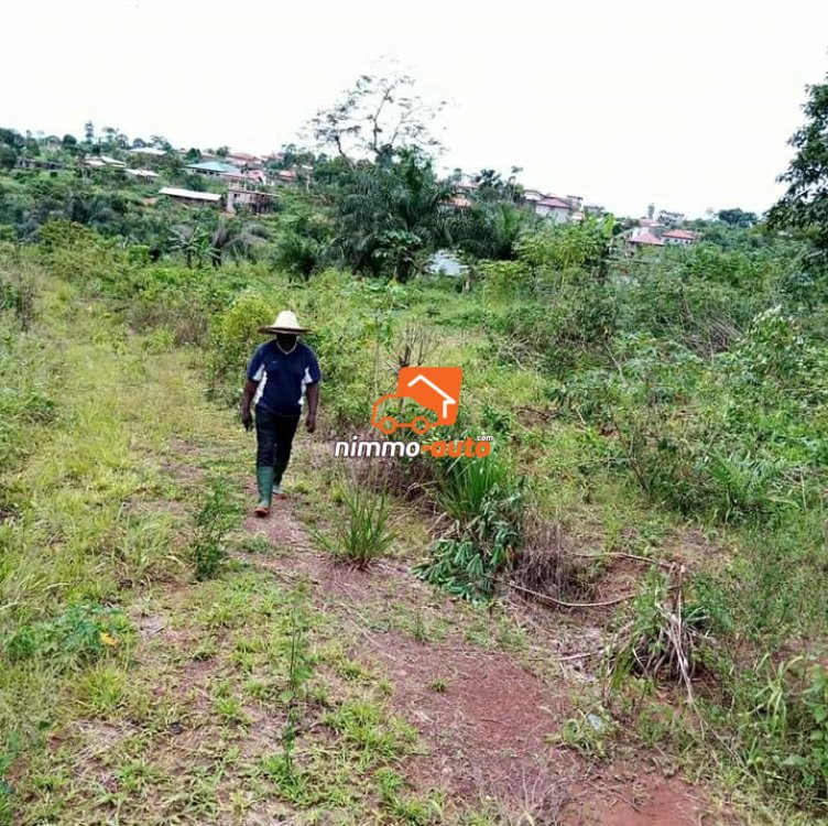 Terrain à vendre à NKOLNDA derrière la station