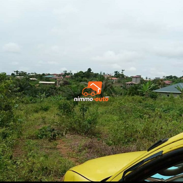 Terrain à vendre à NKOLNDA derrière la station