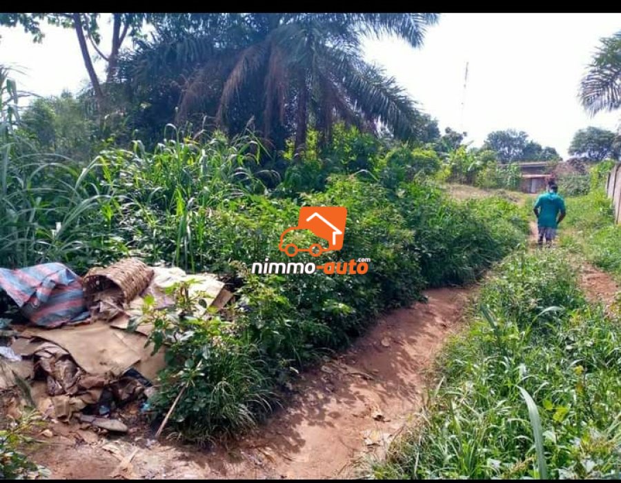 Terrain à vendre au quartier AHALA