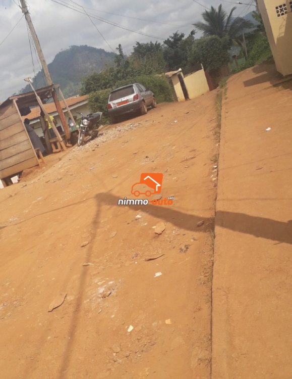 Appartement a louer nkolzie_TKC 5m de la route