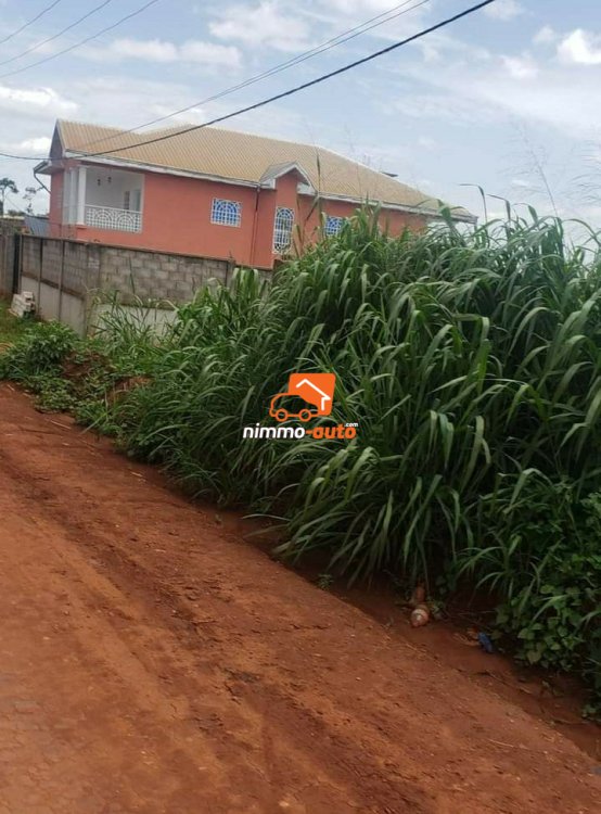 Terrain a vendre Total nkoabang (lieu dit Nolbison ) a 1 kilometre