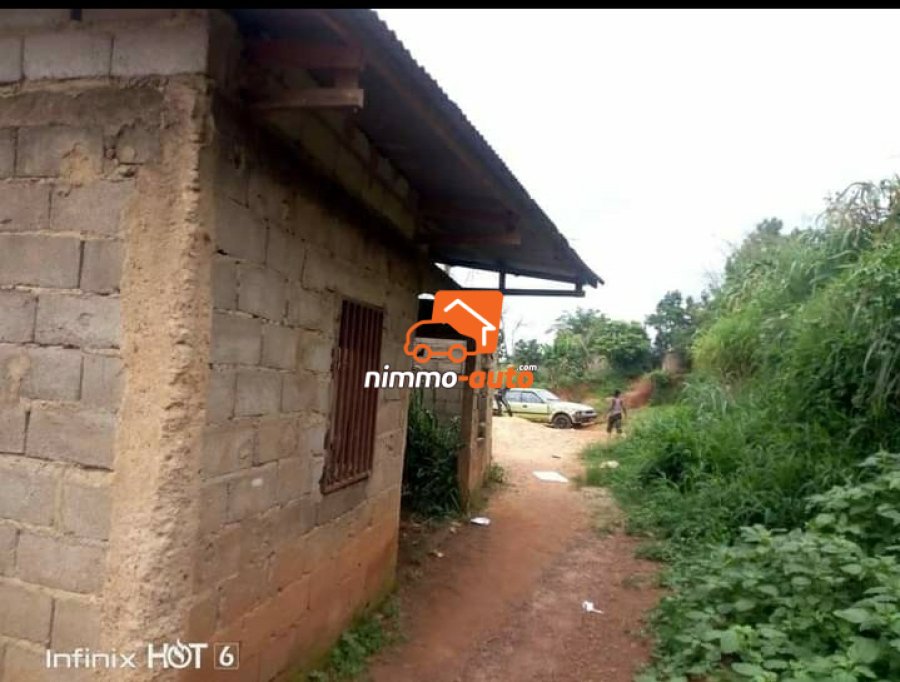 Terrain Simbock derrière la Rosière supérieure