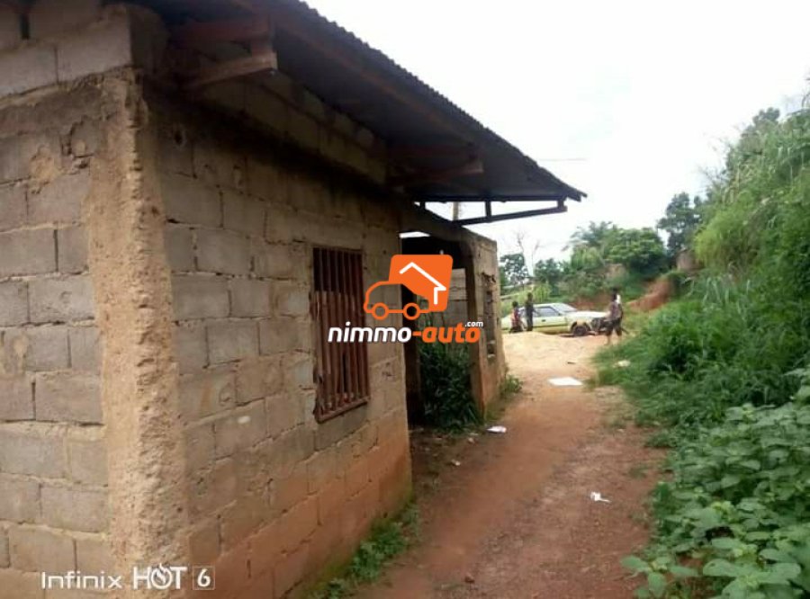 Terrain Simbock derrière la Rosière supérieure