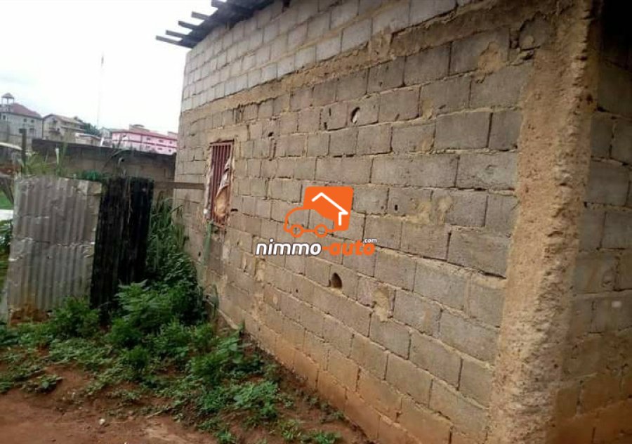 Terrain Simbock derrière la Rosière supérieure