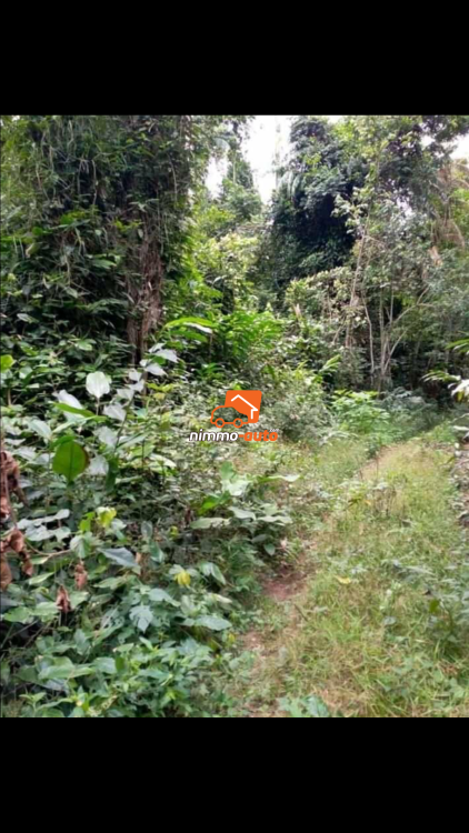 Terrain à vendre Nkolafamba