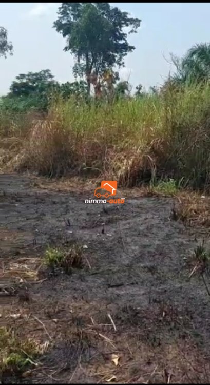 Terrain à vendre à Nsimalen