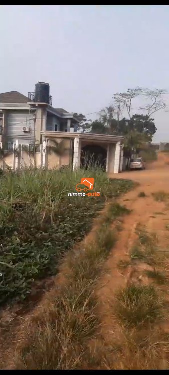 Terrain à vendre à Nkol anga'a par Awae escalier