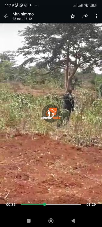 Terrain titré à vendre à Soa