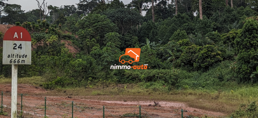 Terrain titré lotis en bordure de l'autoroute yde-dla