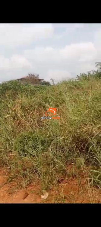 Terrain titré bien situé à vendre à Nyom