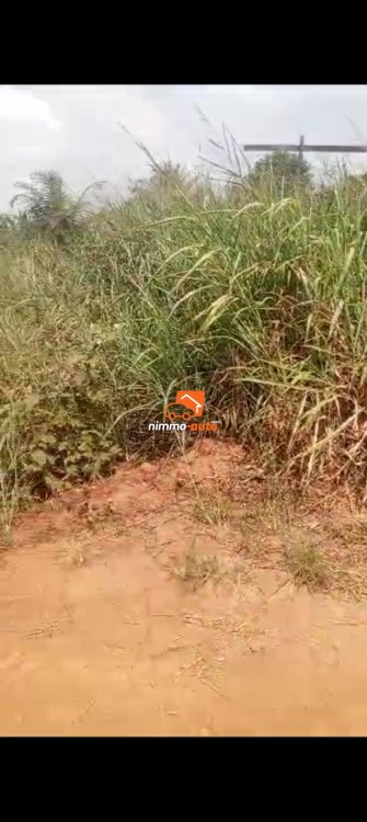 Terrain titré bien situé à vendre à Nyom