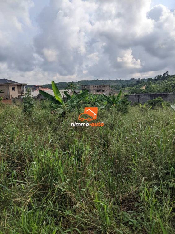 belle opportunite de terrain a vendre lendi douala