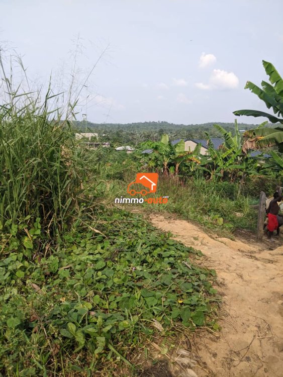 super terrain terrain situé a 50m de la route au quartier lendi douala