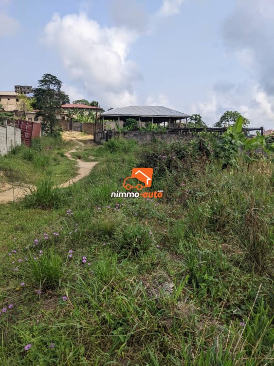 belle opportunite de terrain a vendre lendi douala