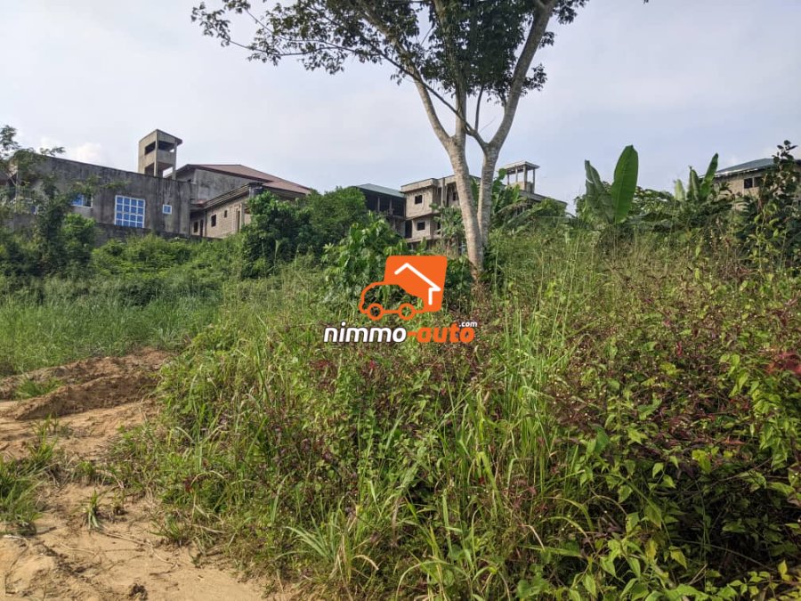 super terrain terrain situé a 50m de la route au quartier lendi douala