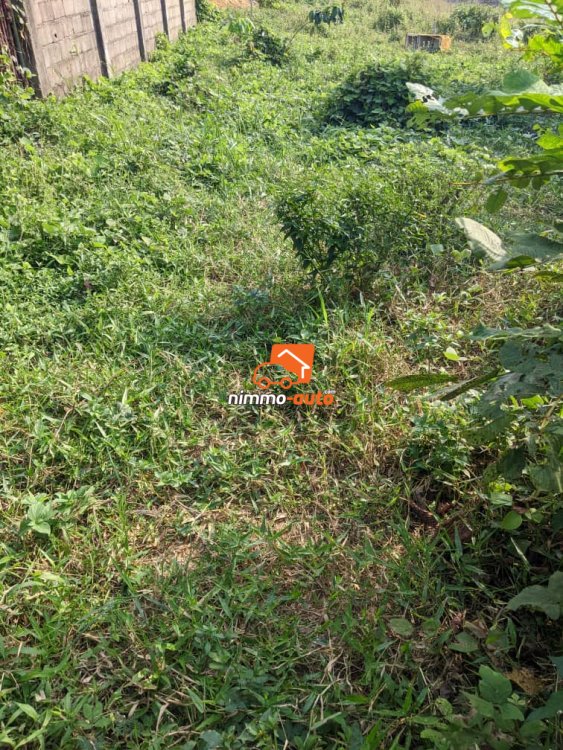 bon terrain bien située a lendi