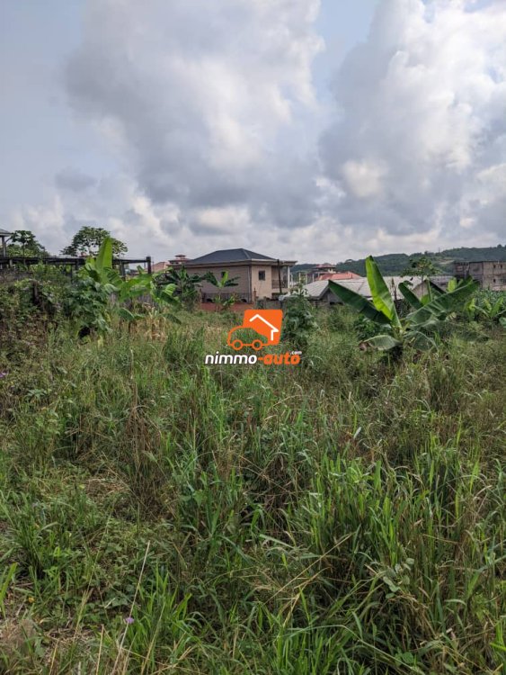 belle opportunite de terrain a vendre lendi douala