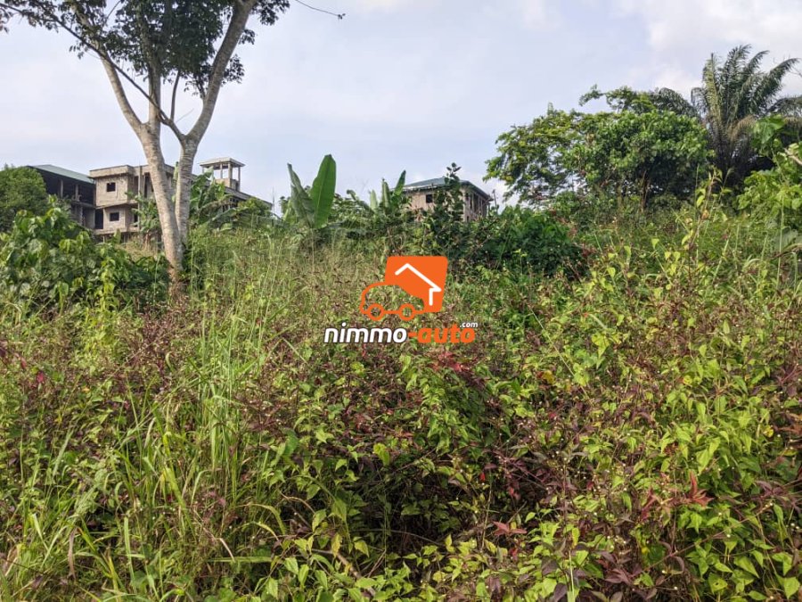 super terrain terrain situé a 50m de la route au quartier lendi douala