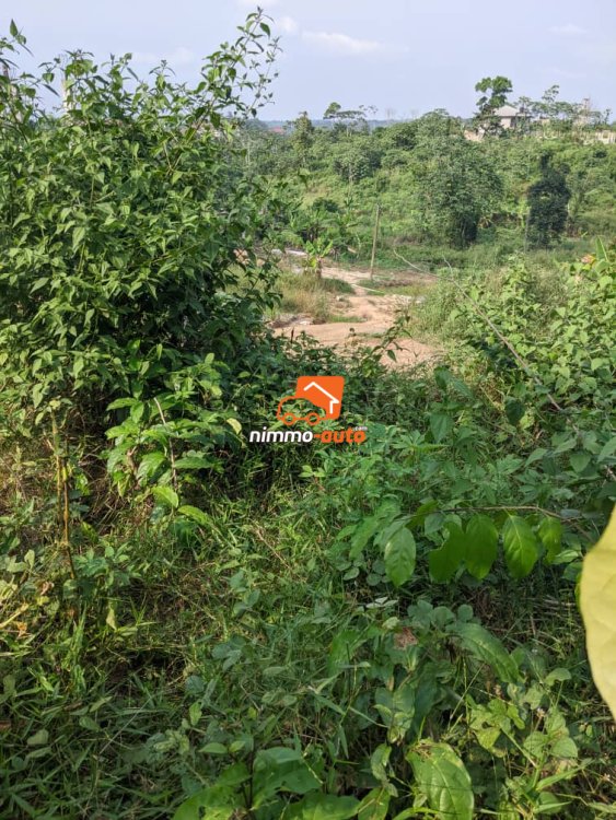 OFFRE EN OR du coté de lendi