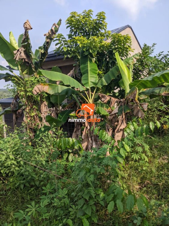 OFFRE EN OR du coté de lendi