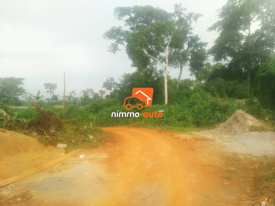 Terrain à vendre à SOA derrière l'église catholique