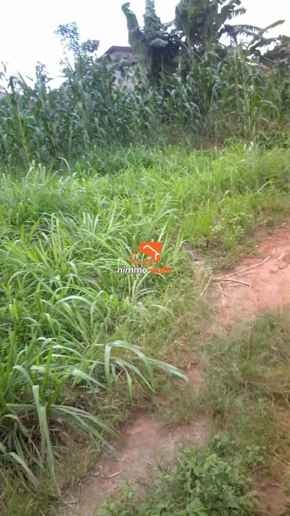 Terrain titré à vendre à Odza Fecafoot