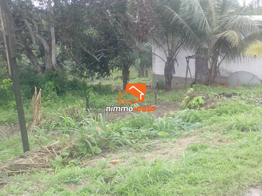Terrain titré à Vendre à Kribi