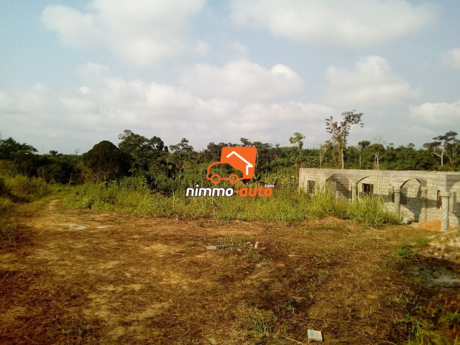 Terrain titré moins cher à vendre à Nkolnda