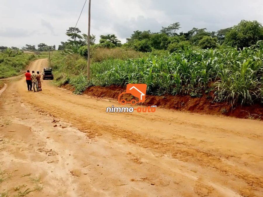 Terrain à vendre à Nyom