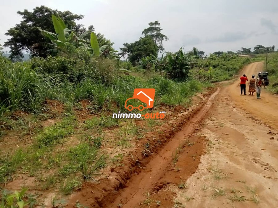 Terrain à vendre à Nyom