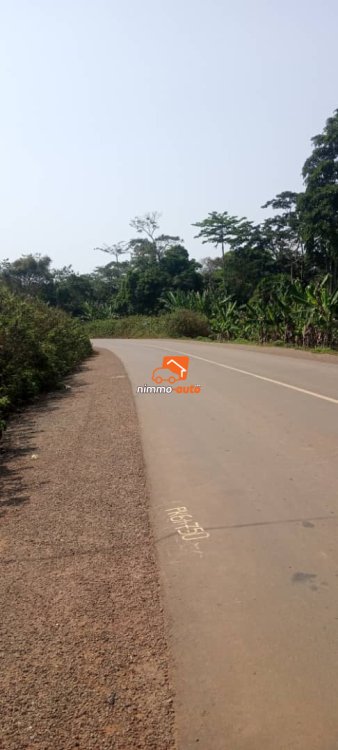 Terrain titré à vendre à Nkozoa