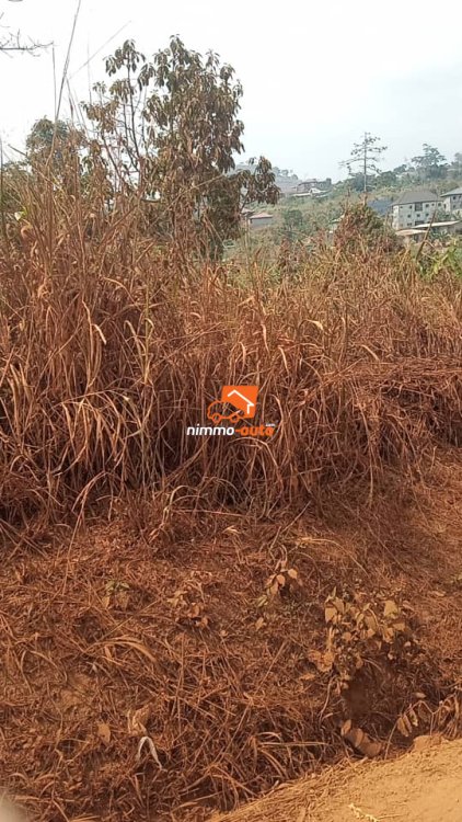 Terrain à vendre à Akak