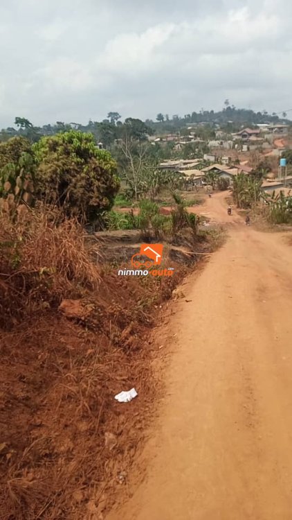 Terrain à vendre à Akak