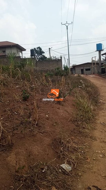 Terrain à vendre à Emana Bilick