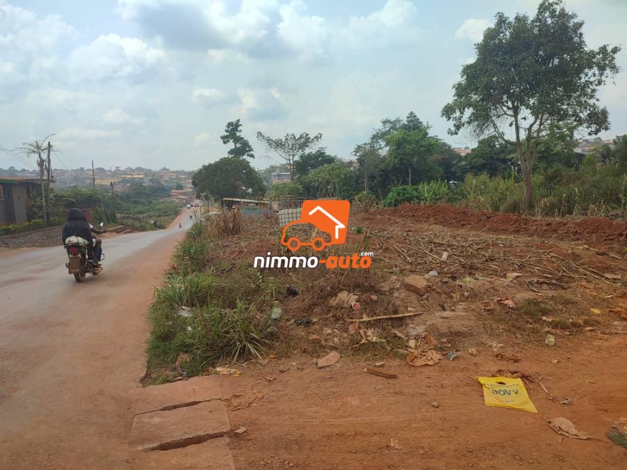 Terrain à vendre à Damas en Route