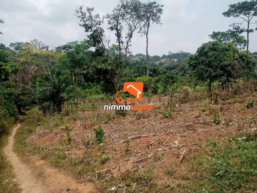 Terrain de 500m² Titrés à vendre à Nomayos