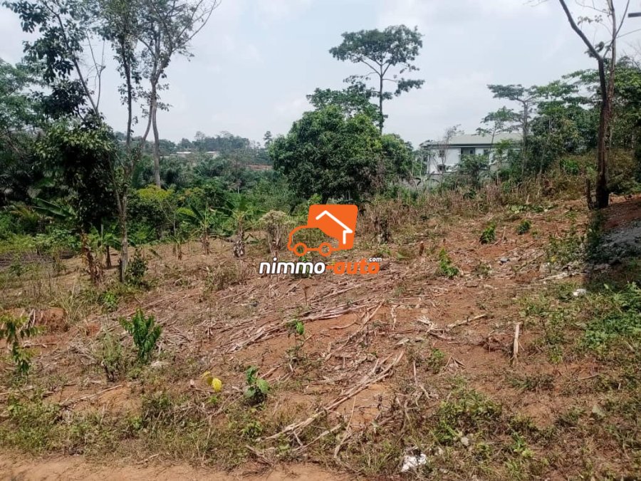 Terrain de 500m² Titrés à vendre à Nomayos