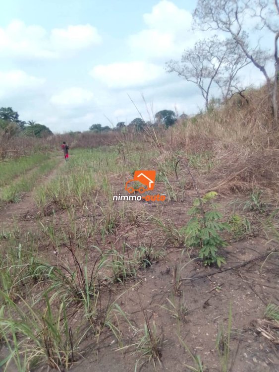 Terrain titré et loti à vendre à Obala