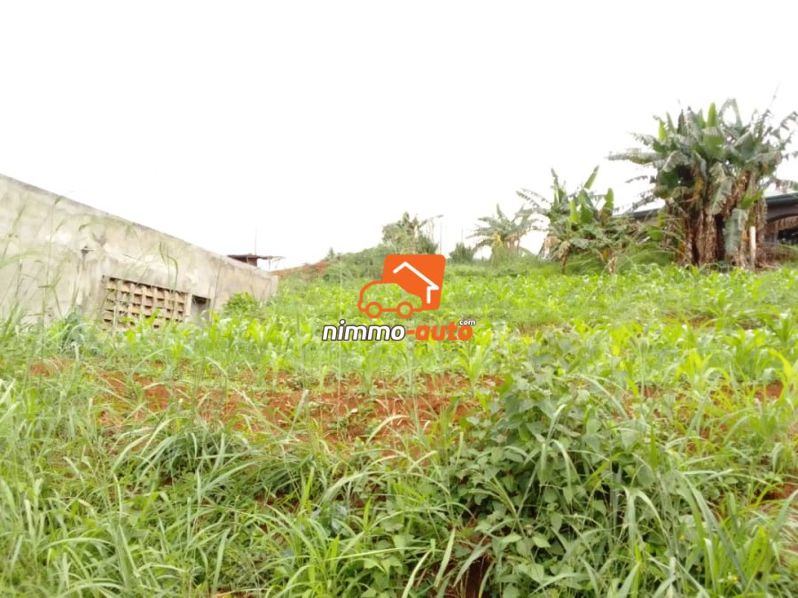 Terrain à vendre à Mbankolo